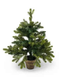coincasa Albero di Natale H 60 cm con vaso