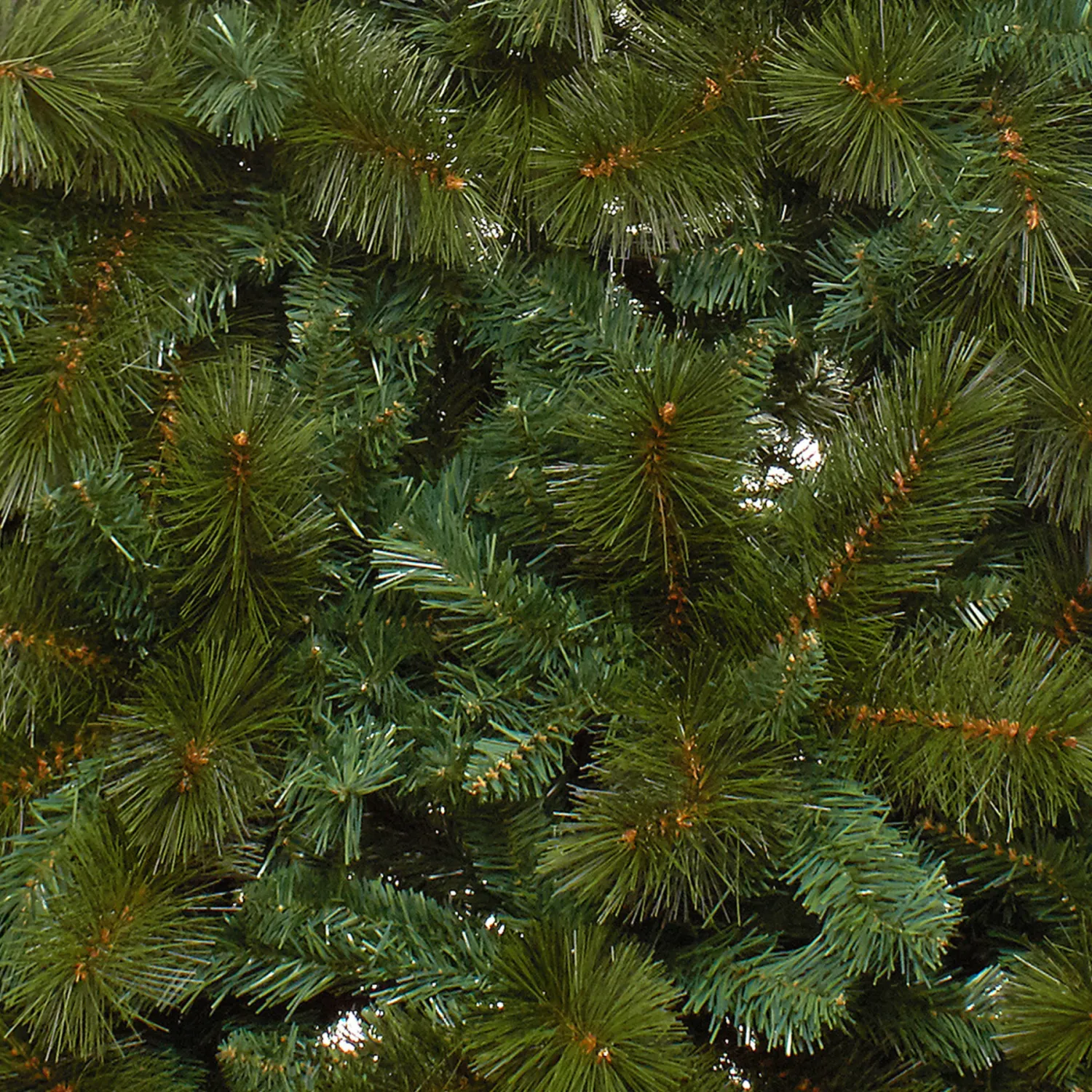 coincasa Albero di Natale Polo Sud H 210cm