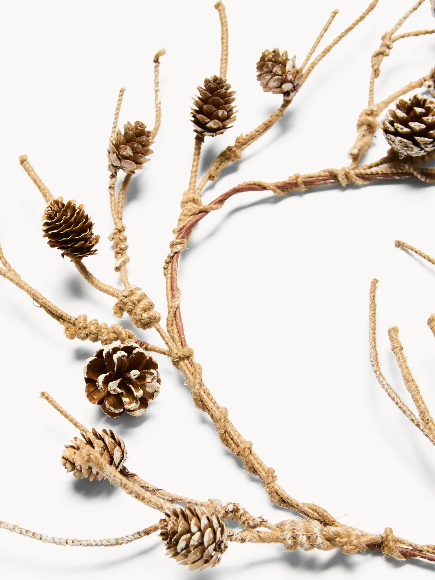 coincasa Festone in corda con pigne