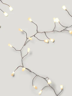 coincasa Filo luce pino 180 m