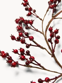 coincasa Ghirlanda con bacche rosse