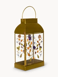 coincasa Lanterna in vetro ed ottone con fiori secchi