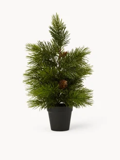 coincasa Pino con pigne e vaso