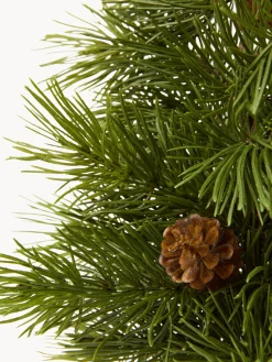 coincasa Pino con pigne e vaso