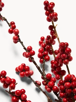 coincasa Ramo agrifoglio