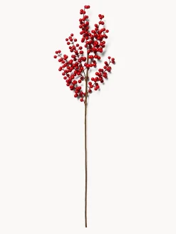 coincasa Ramo agrifoglio