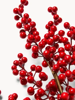 coincasa Ramo agrifoglio