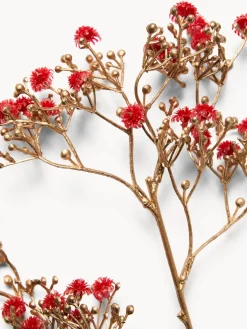 coincasa Ramo di gisofilia