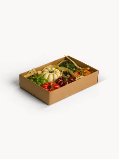 coincasa Set 6 candeline a zucca